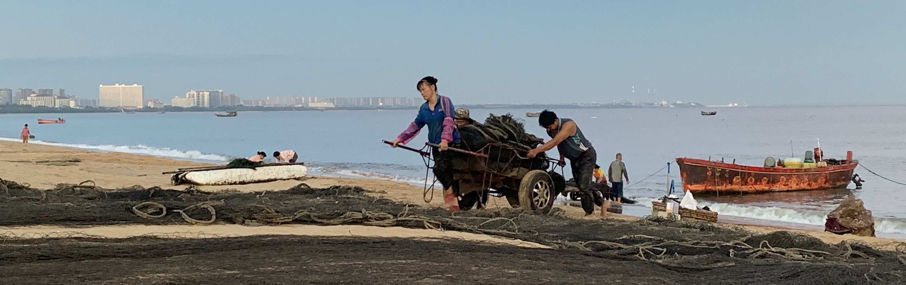 A fishers tows a wheel barrow of shell fish up from the water on a beach in China.