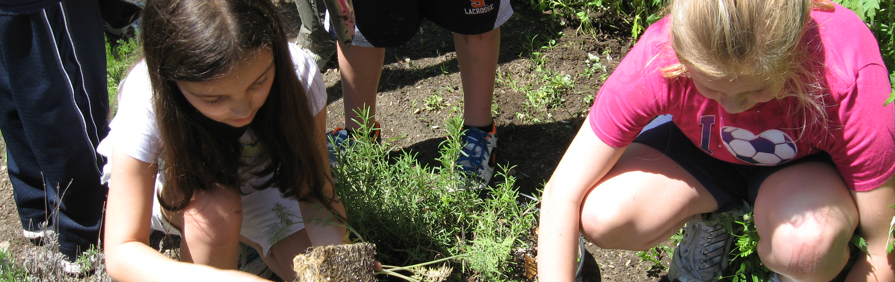 Two children plant seedlings in a garden