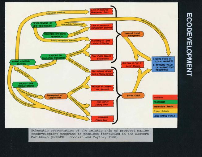 A chart about ecological development