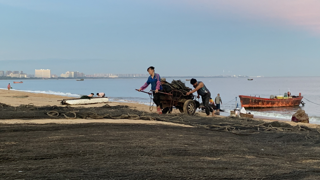 A fishers tows a wheel barrow of shell fish up from the water on a beach in China.