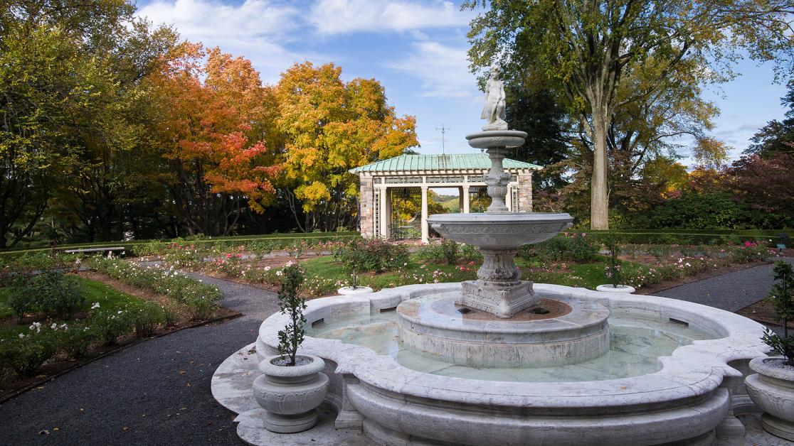 A fountain and trees