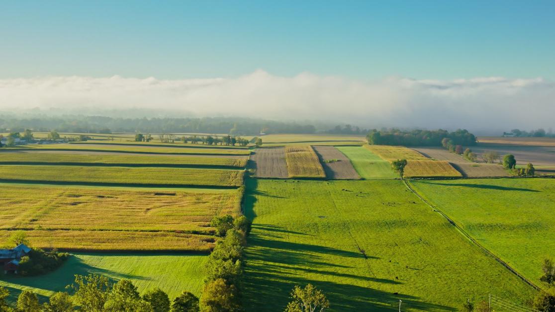Wide aerial view of agricultural land with a small farmhouse on periphery