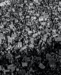 huge crowds with Black Lives Matter signs.