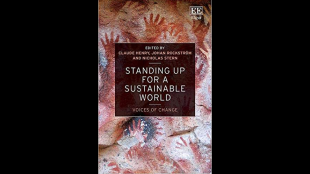 Standing up for a Stainable World book cover