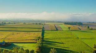 Wide aerial view of agricultural land with a small farmhouse on periphery