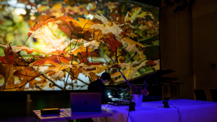 A composer plays the piano beneath a screen showing fall leaves.